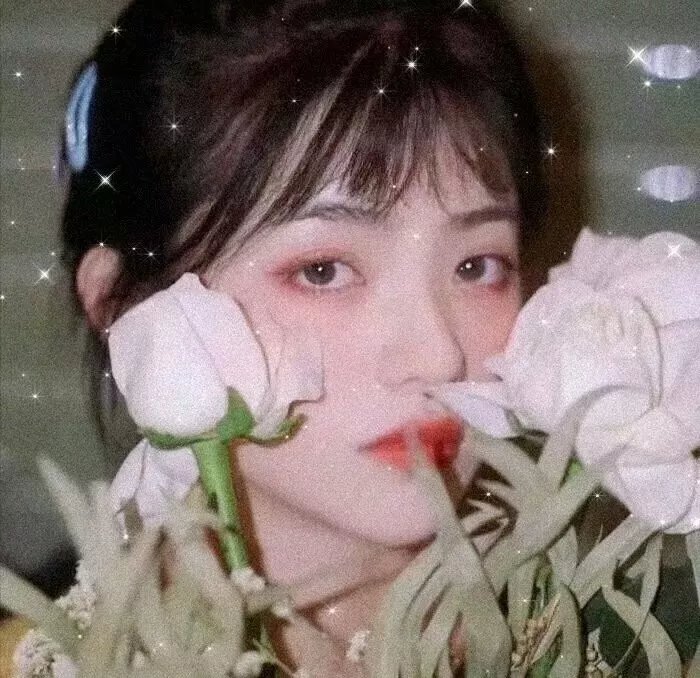 高山上的热气球